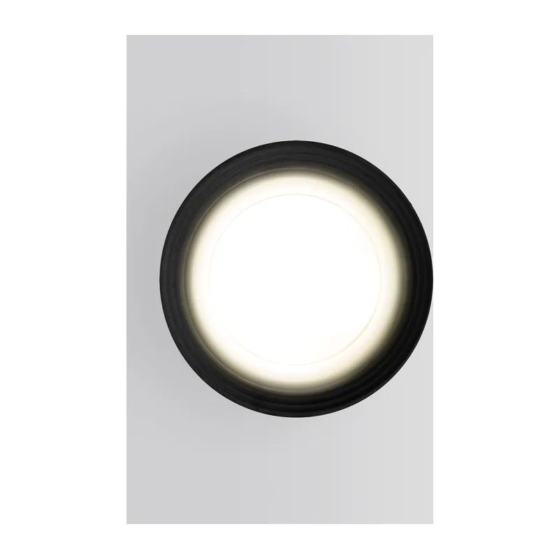 Уличный потолочный светильник Light IP65 35128/H черный Elektrostandard 3