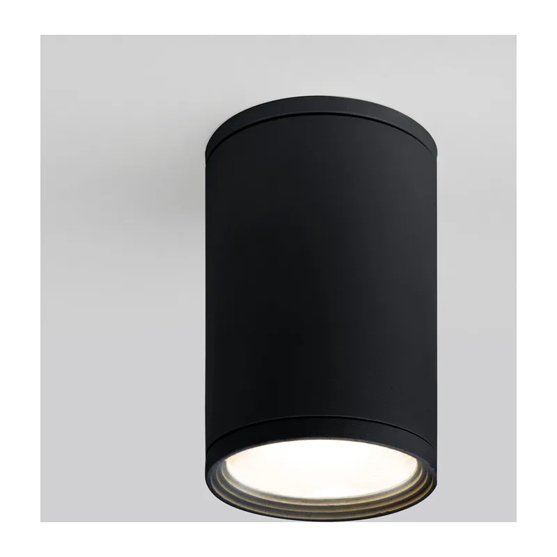 Уличный потолочный светильник Light IP65 35128/H черный Elektrostandard