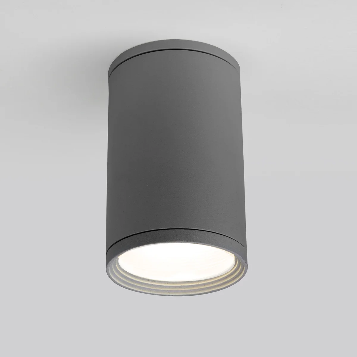 Уличный потолочный светильник Light IP65 35128/H серый Elektrostandard