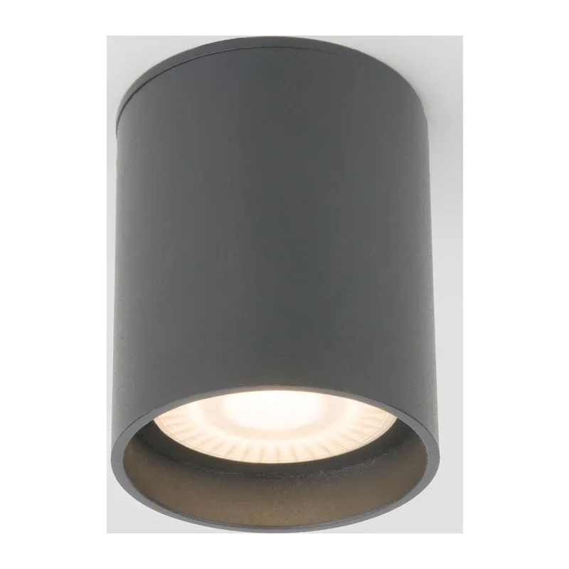 Уличный потолочный светильник Light LED 2104 IP54 35130/H серый Elektrostandard
