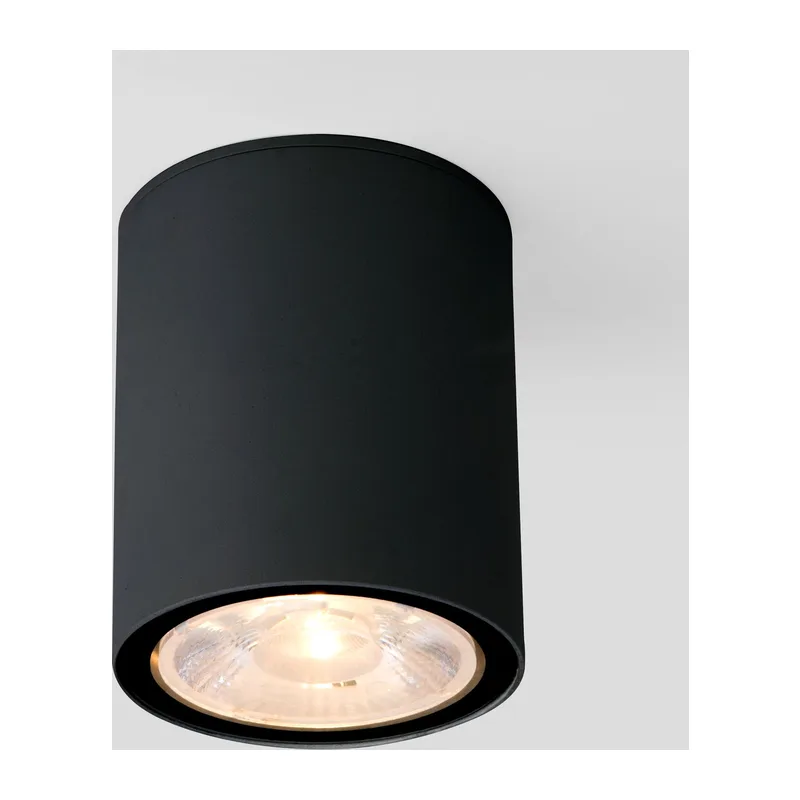 Уличный потолочный светильник Light LED IP65 35131/H черный Elektrostandard