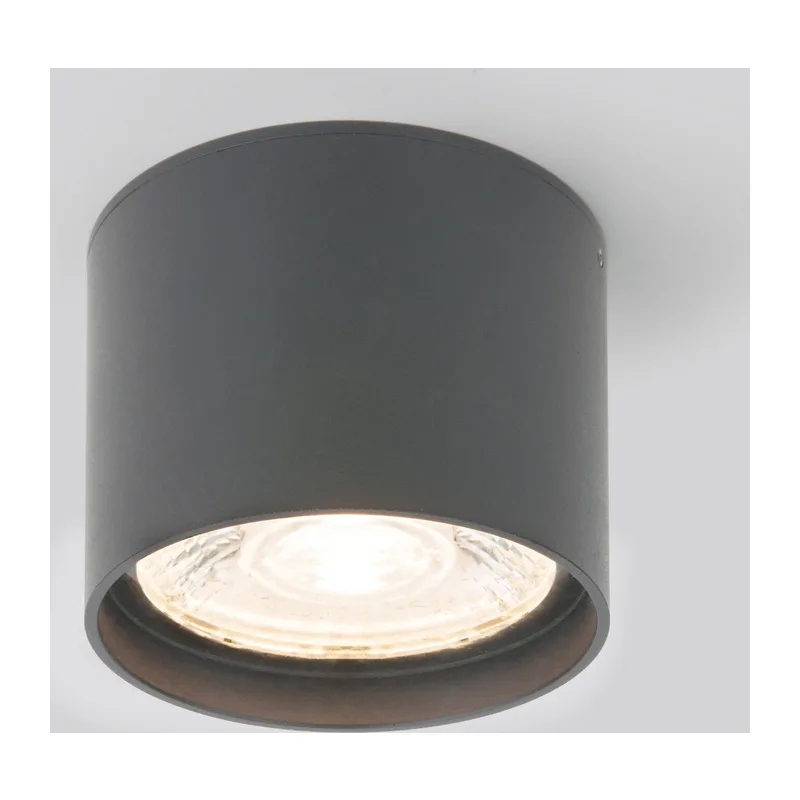 Уличный потолочный светильник Light LED 2105 IP54 35132/H серый Elektrostandard