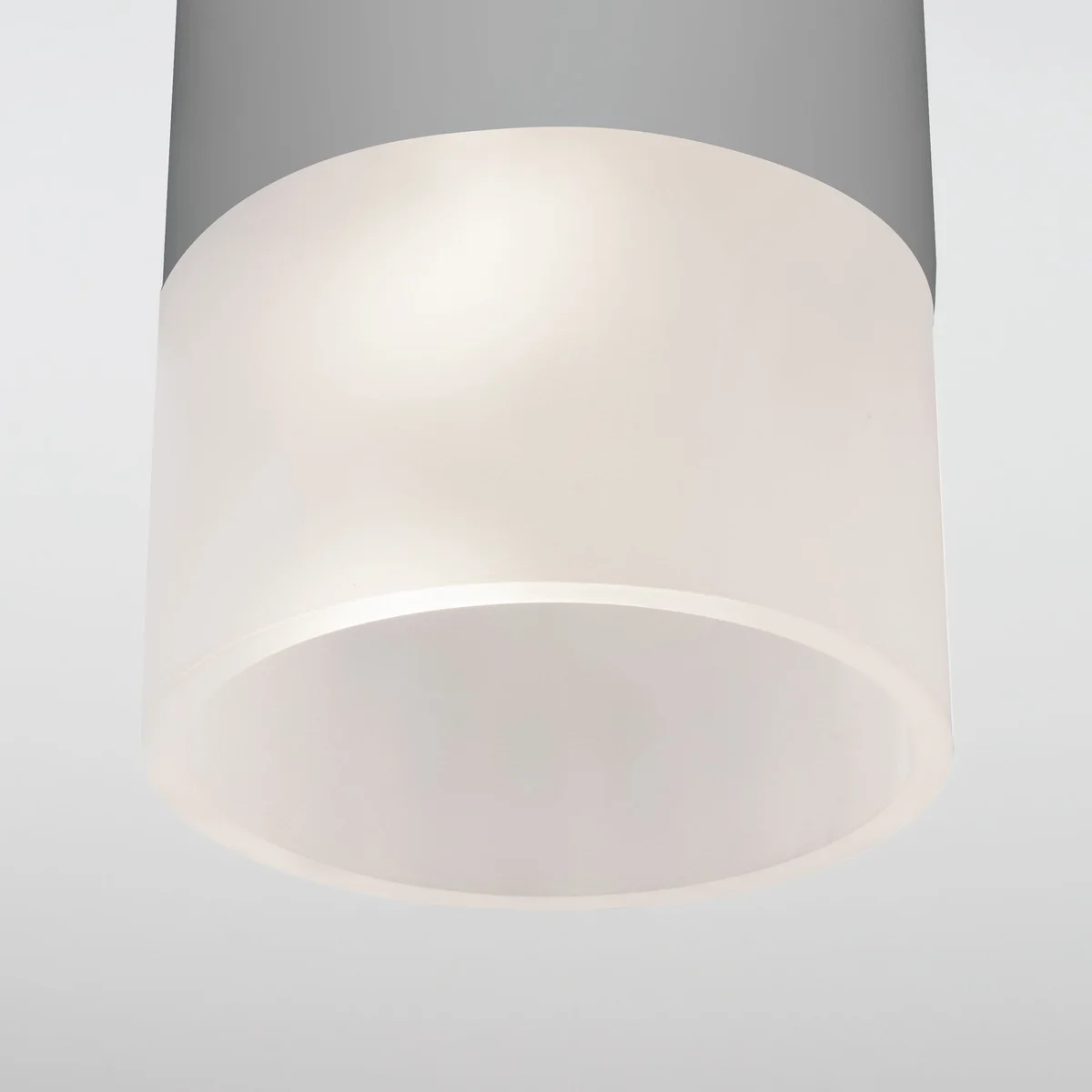 Уличный потолочный светильник Light LED 2106 IP54 35139/H серый Elektrostandard 2