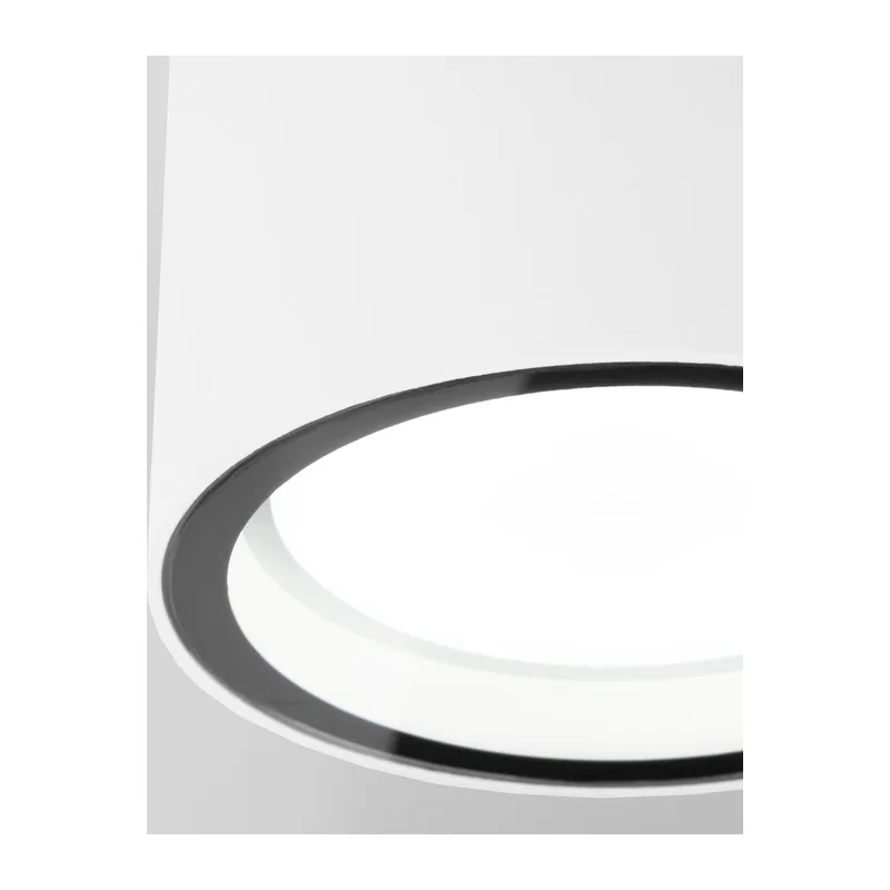 Уличный потолочный светильник Light 26231 IP54 35144/H Elektrostandard 3