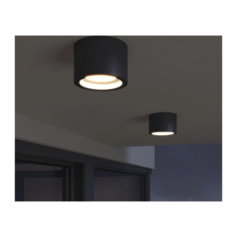 Уличный потолочный светильник Light 26231 IP54 35144/H черный Elektrostandard 2