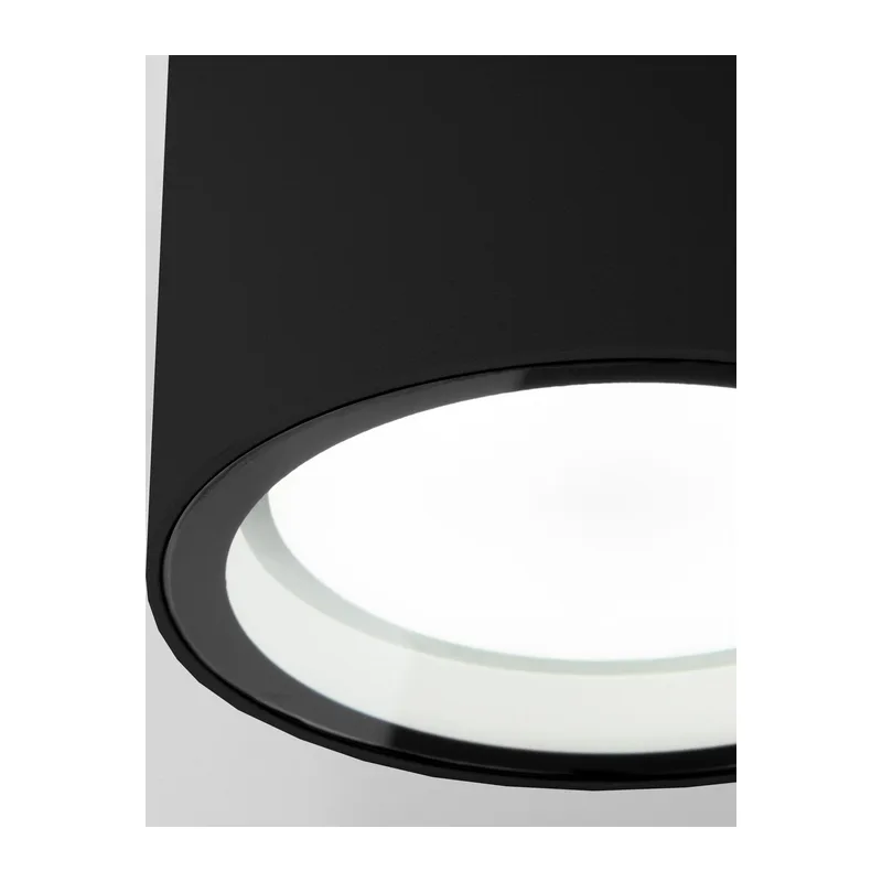 Уличный потолочный светильник Light 26231 IP54 35144/H черный Elektrostandard 3