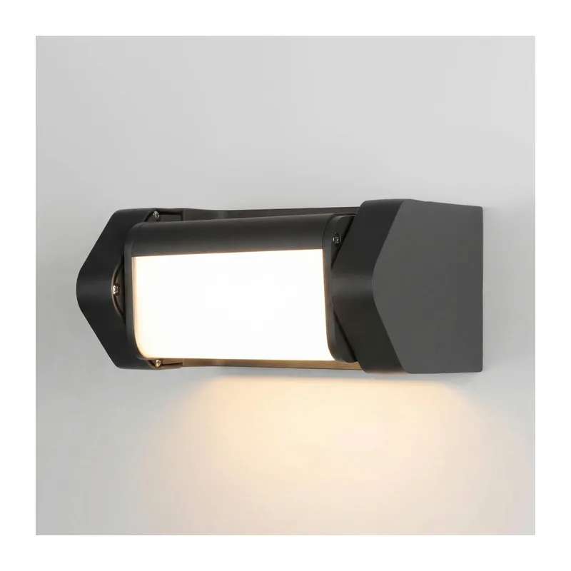 Уличный настенный поворотный светильник DORS 35163/D черный Elektrostandard 2