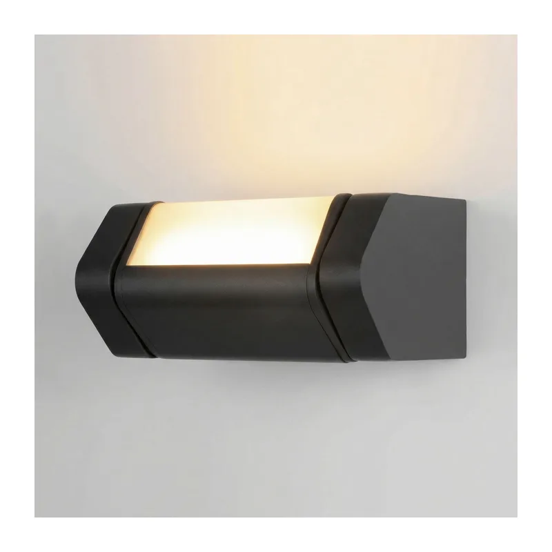 Уличный настенный поворотный светильник DORS 35163/D черный Elektrostandard 3