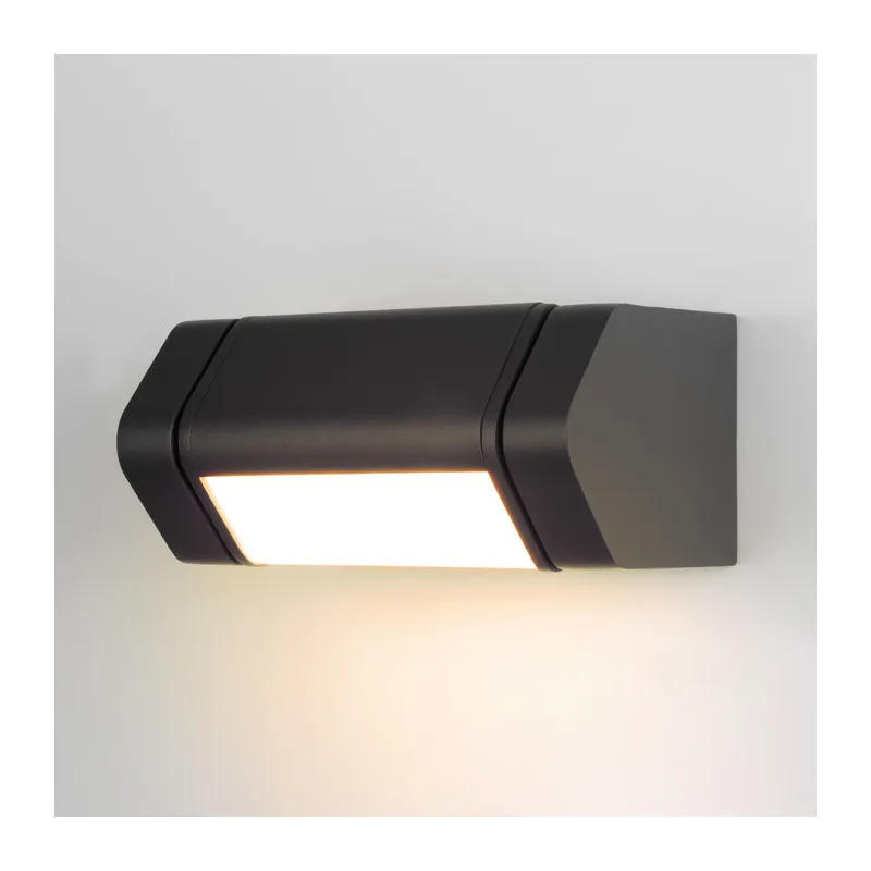 Уличный настенный поворотный светильник DORS 35163/D черный Elektrostandard