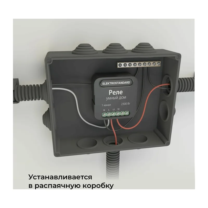 Умное одноканальное реле 76006/00 Elektrostandard 8