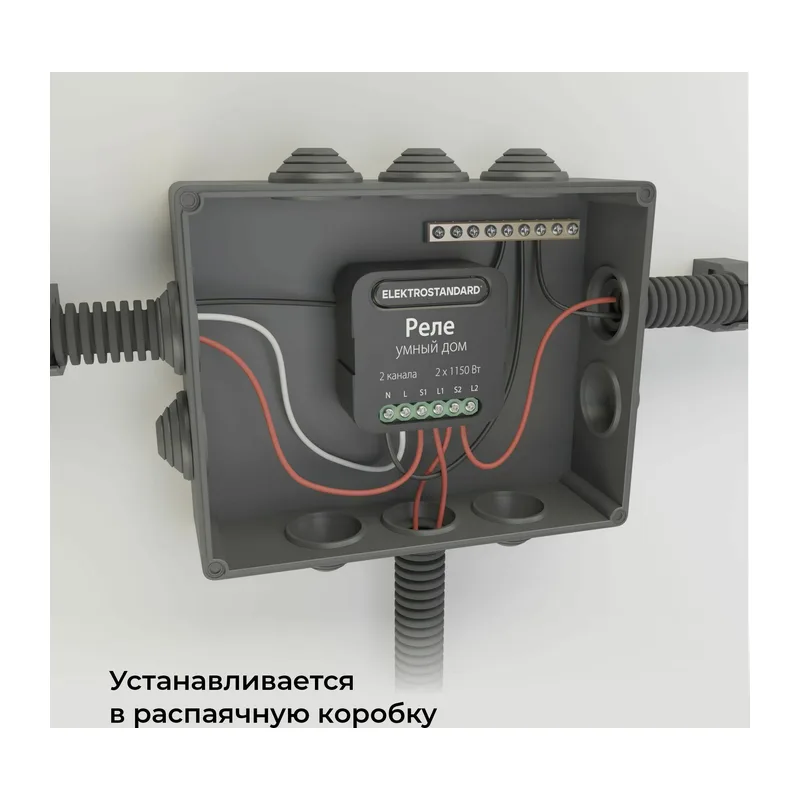 Умное двухканальное реле 76007/00 Elektrostandard 6