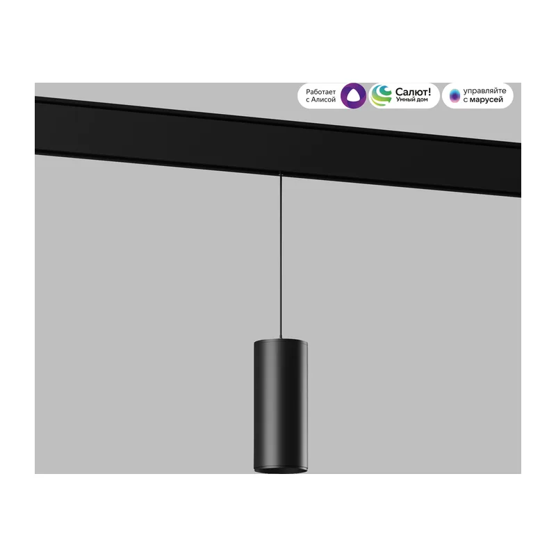Умный трековый светильник 15W 2700-6500K Dim Amend чёрный Slim Magnetic 85073/01 Elektrostandard 3