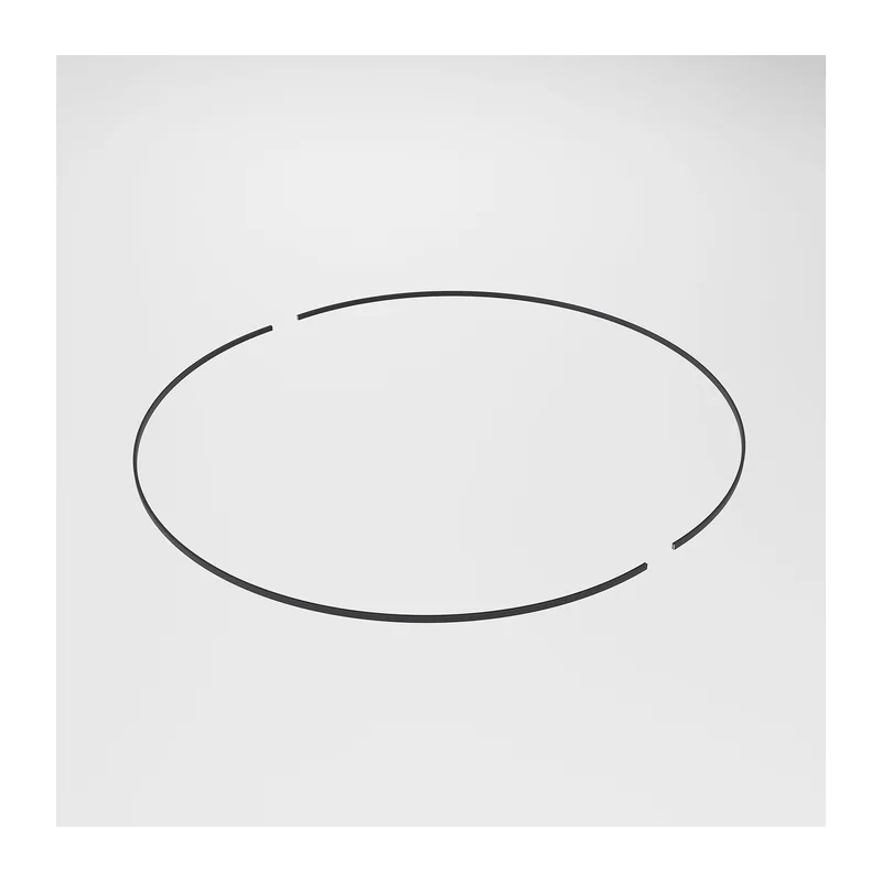 Esthetic Magnetic Шинопровод Round черный Ø1500 85217/00 Elektrostandard 2