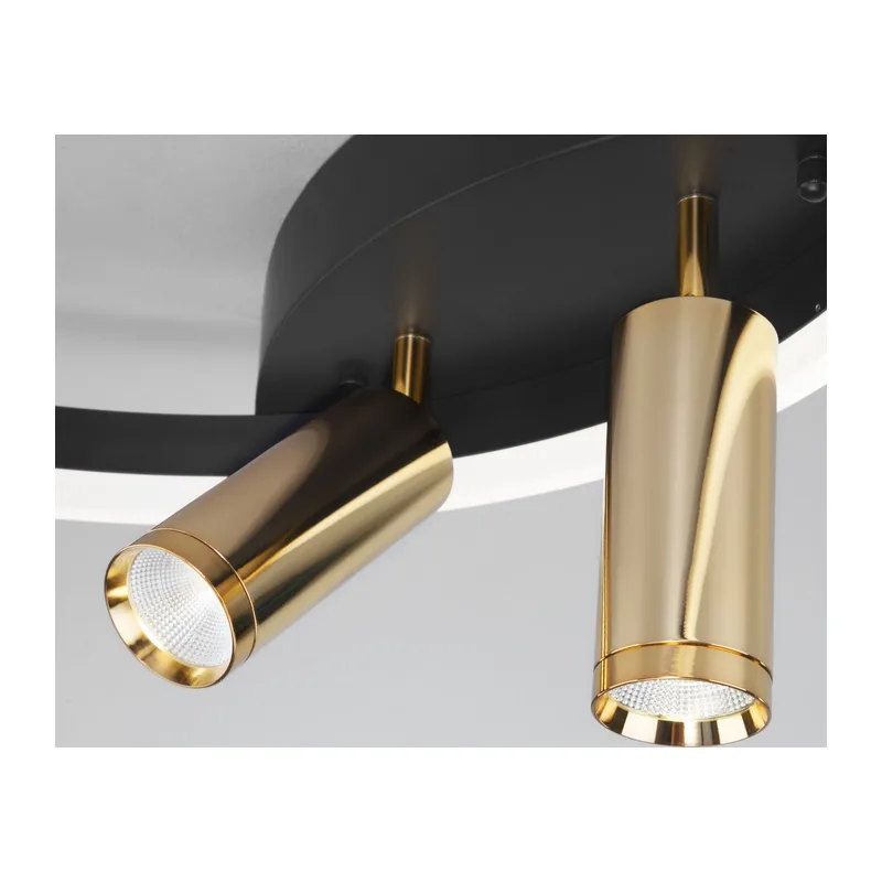 Умный потолочный светильник Eurosvet Luminari 90247/3 черный/золото Smart 2