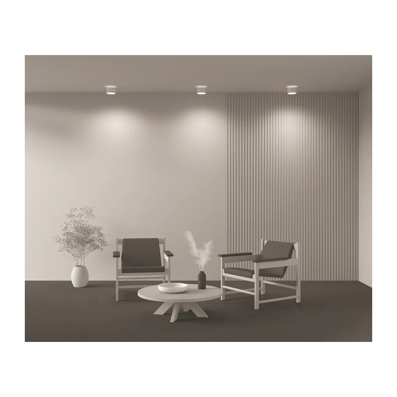 C009CW-L16W4K 4