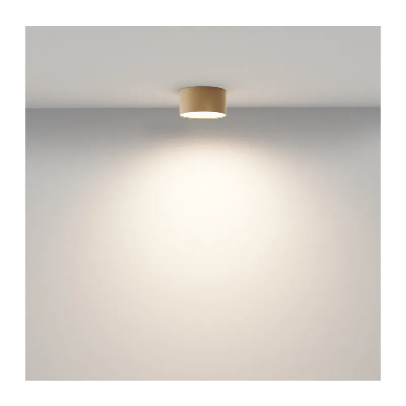 Потолочный светильник Зон / Zon 12 Вт 3000 К 120° Maytoni C032CL-12W3K-RD-MG 4