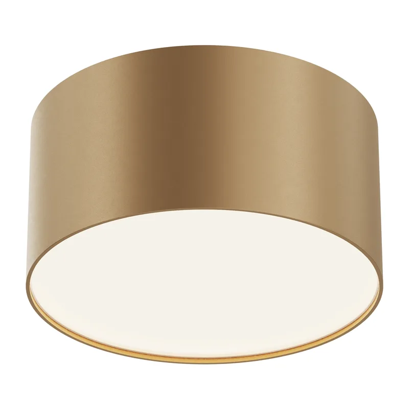 Потолочный светильник Зон / Zon 12 Вт 4000 К 120° Maytoni C032CL-12W4K-RD-MG