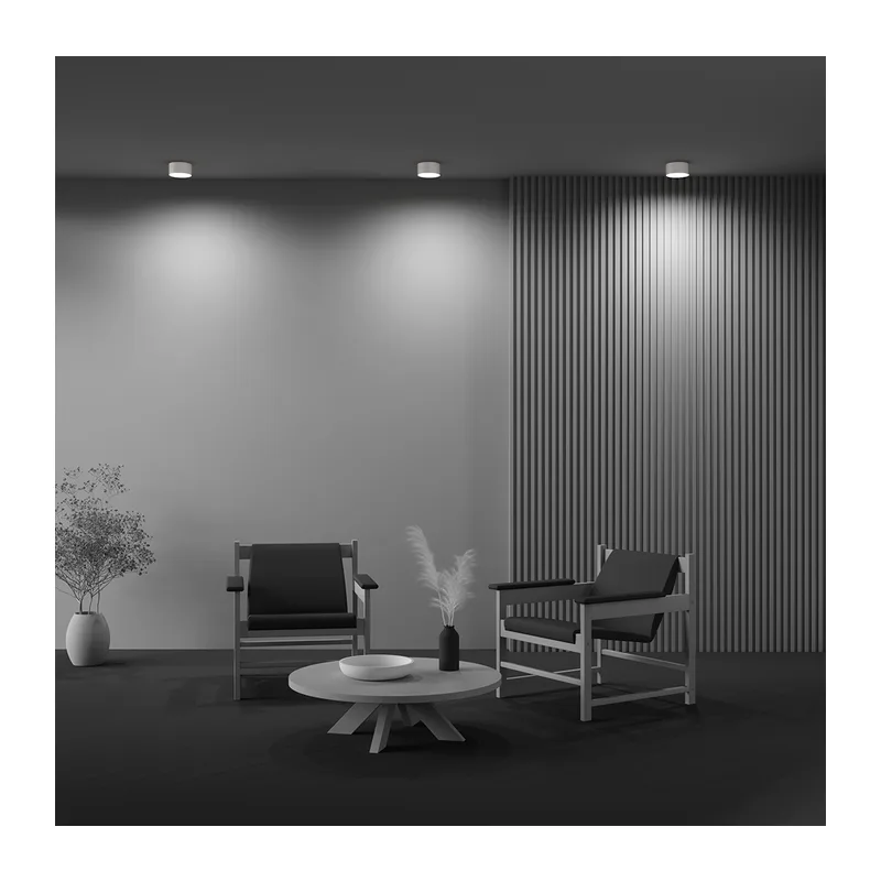 Потолочный светильник Зон / Zon 12 Вт 4000 К 120° Maytoni C032CL-12W4K-RD-W 5