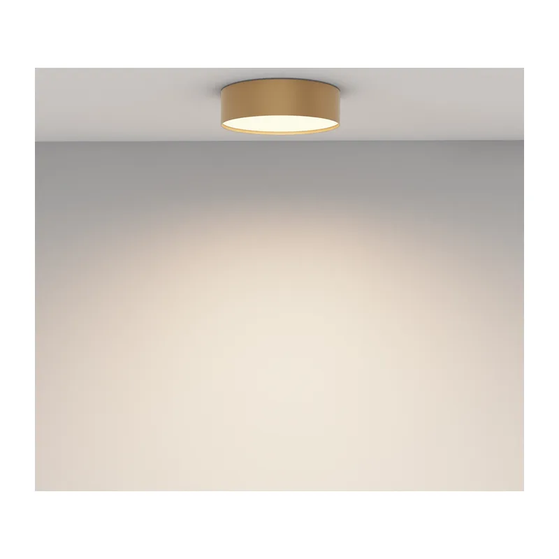 Потолочный светильник Зон / Zon 24 Вт 3000 К 120° Maytoni C032CL-24W3K-RD-MG 4