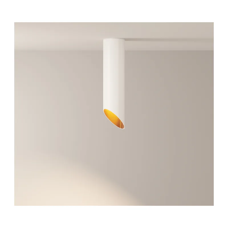 C044CL-01-25GU10-W 3