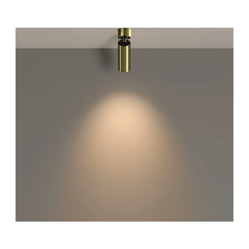 Потолочный светильник Фокус / FOCUS LED 12 Вт 3000 К 50° Maytoni C055CL-L12W3K-W-BS 4