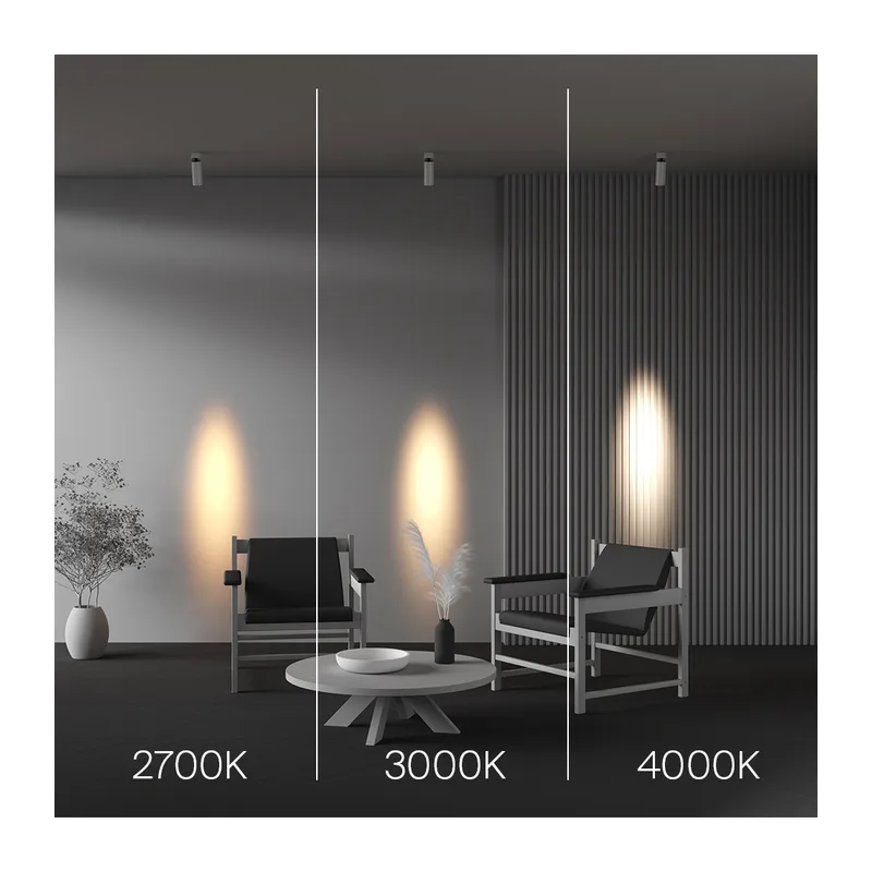 C055CL-L12W4K-SS-W 5