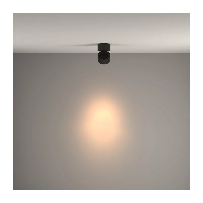 Потолочный светильник Инь / Yin 15 Вт 3000 К 24° Maytoni C084CL-15W3K-B 3
