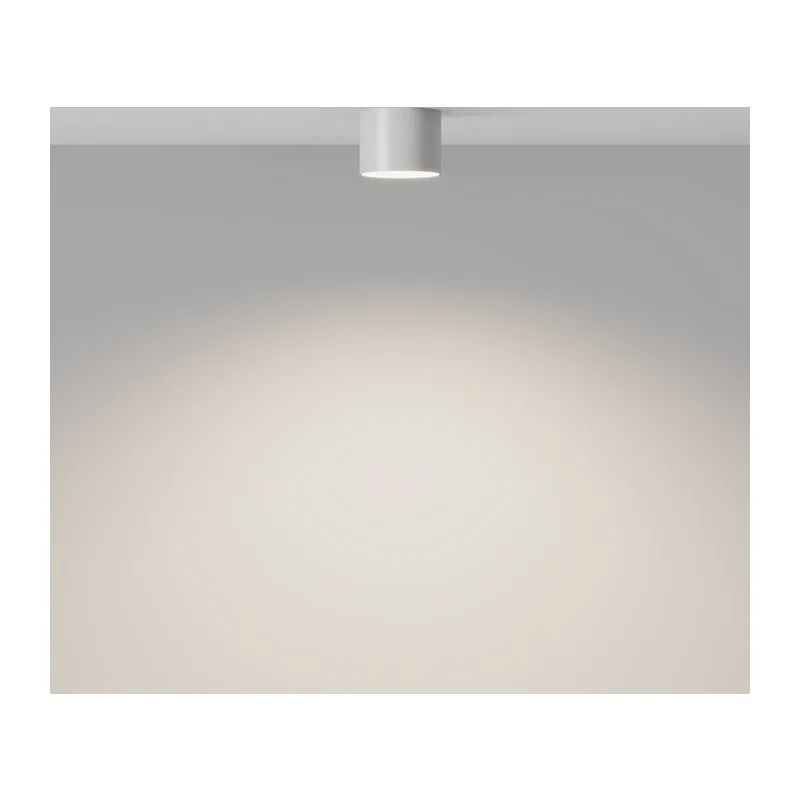 Потолочный светильник Глэм / Glam 1*GX53 12 Вт Maytoni C096CL-GX53-W 4