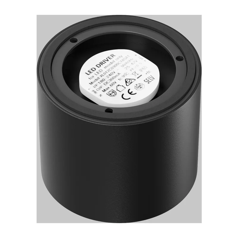 C217CL-15W4K-B 8