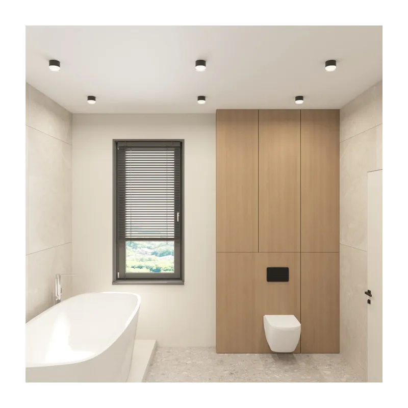 Влагозащищенный светильник Denkirs AQUA | АКВА DK-DH2610-BK 5
