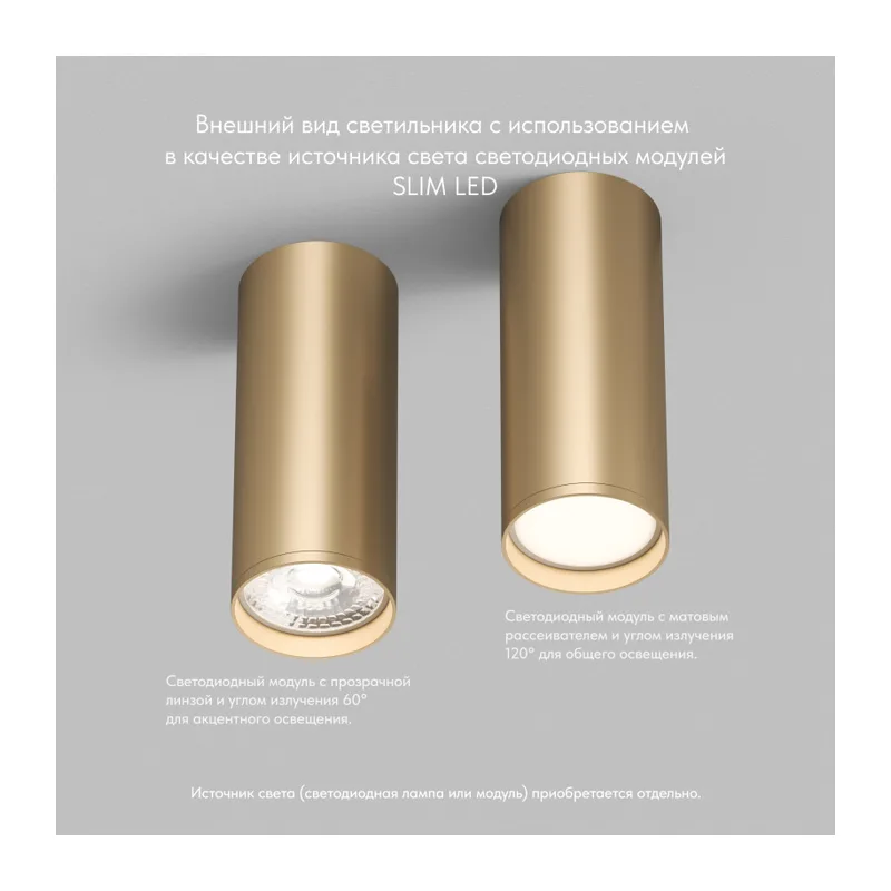 Накладной светильник Denkirs TUBE | ТЬЮБ DK2051-SG 7