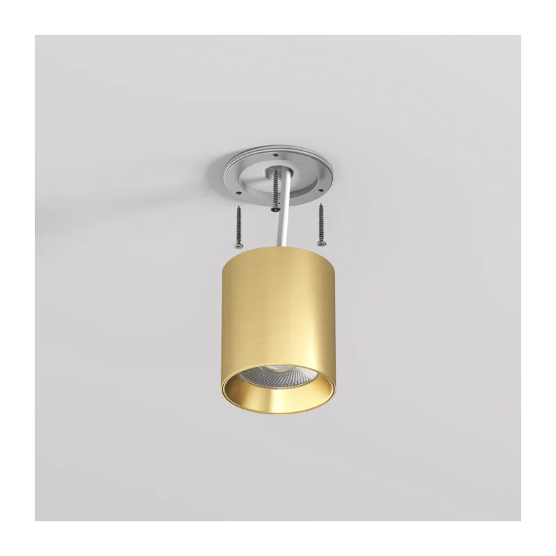 Накладной светильник Denkirs SHINE TUBE | ШАЙН ТЬЮБ DK2610-SB 3