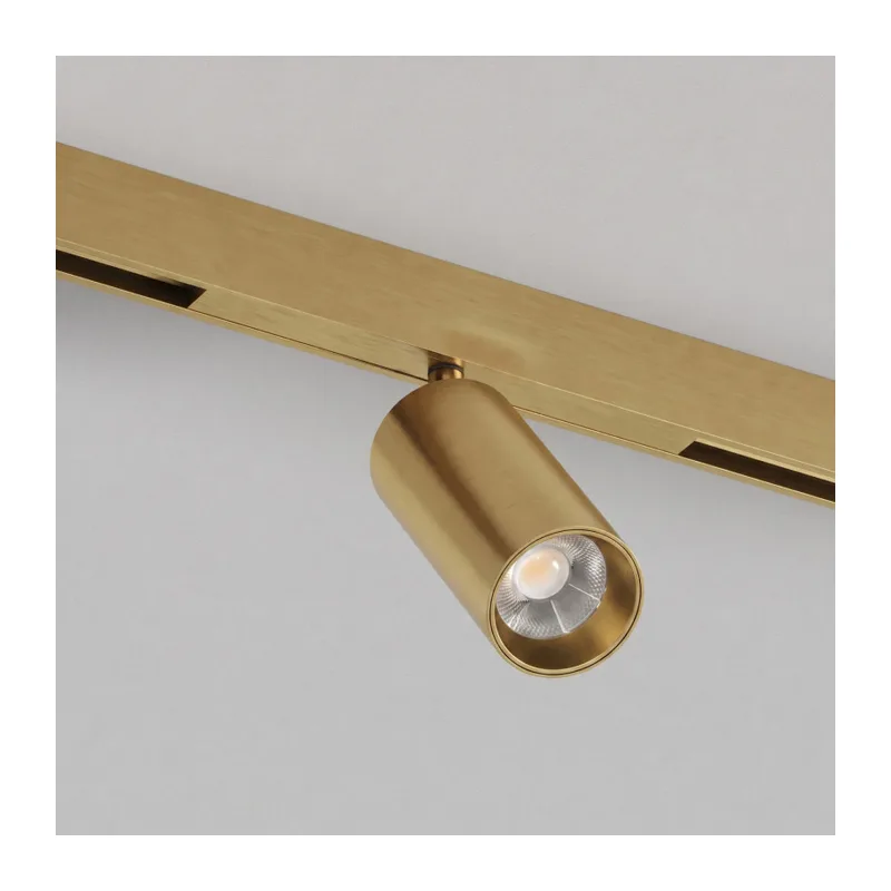 Светильник на шине Denkirs SHINE PRIME SPOT Zigbee | ШАЙН ПРАЙМ СПОТ Zigbee DK4941-SB 2