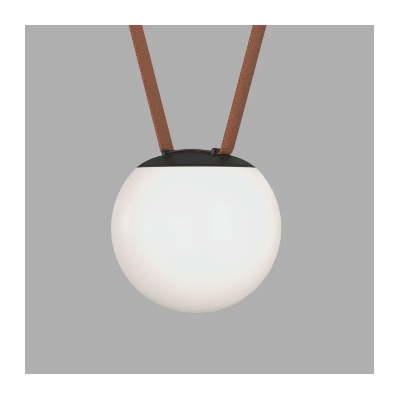 Светильник на шине Denkirs BELTY ORB | БЕЛТИ ОРБ DK5550-BK