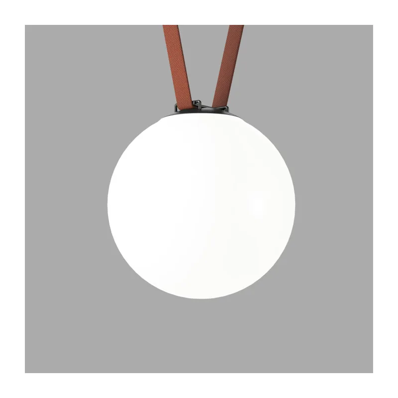 Светильник на шине Denkirs BELTY ORB | БЕЛТИ ОРБ DK5554-BK