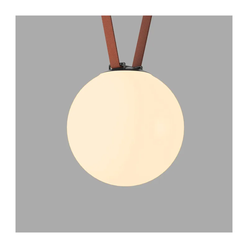 Светильник на шине Denkirs BELTY ORB | БЕЛТИ ОРБ DK5555-BK