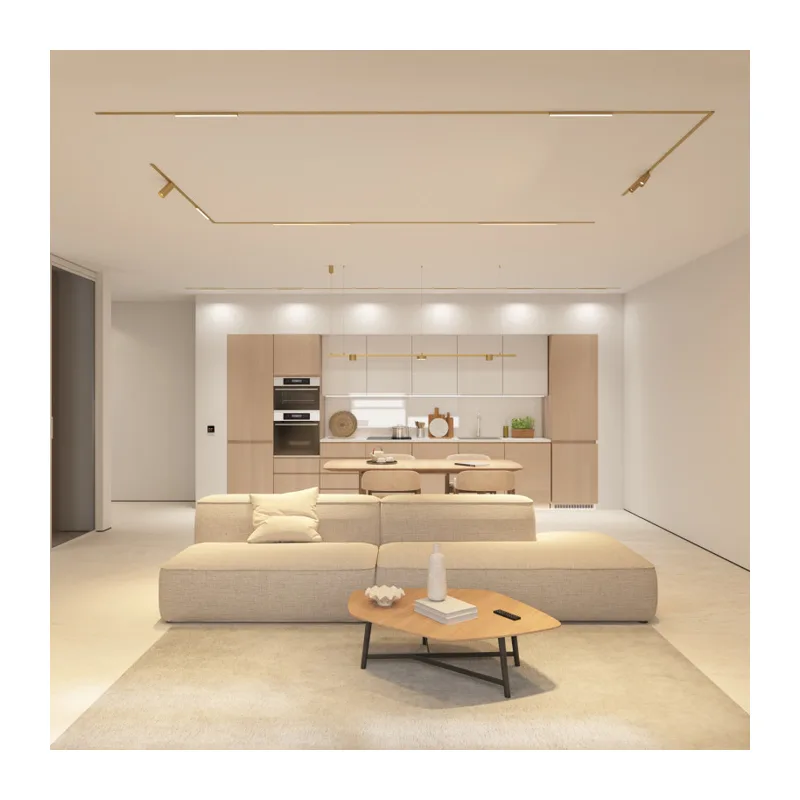 Светильник на шине Denkirs SHINE SPOT ZigBee | ШАЙН СПОТ Zigbee DK5943-SB 4