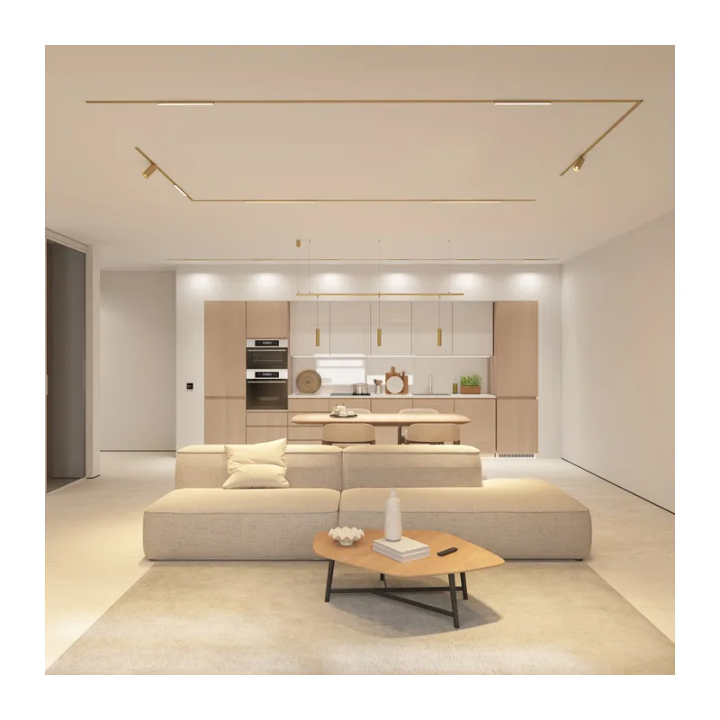 Светильник на шине Denkirs SHINE SPOT ZigBee | ШАЙН СПОТ Zigbee DK5944-SB 3