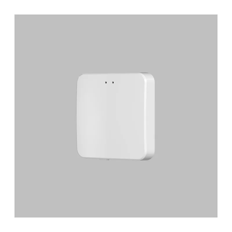 WI-FI конвертер Denkirs CONTROL BT | КОНТРОЛ BT DK7401-WF 2