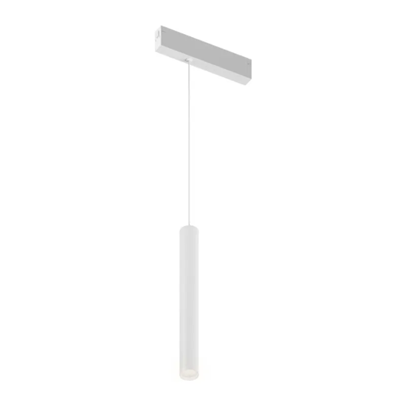 Светильник на шине Denkirs SMART SPOT | СМАРТ СПОТ DK8008-WH 3