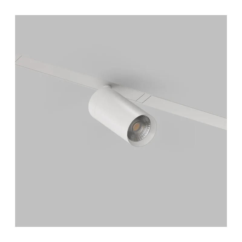 Светильник на шине Denkirs SMART SPOT | СМАРТ СПОТ DK8010-WH 5