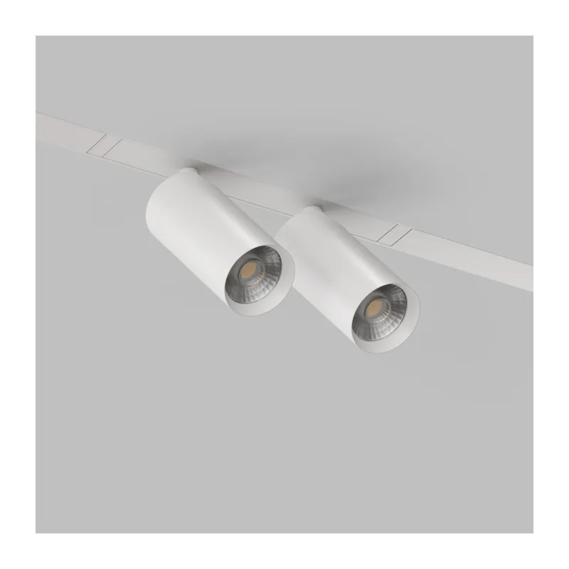 Светильник на шине Denkirs SMART SPOT | СМАРТ СПОТ DK8012-WH 5