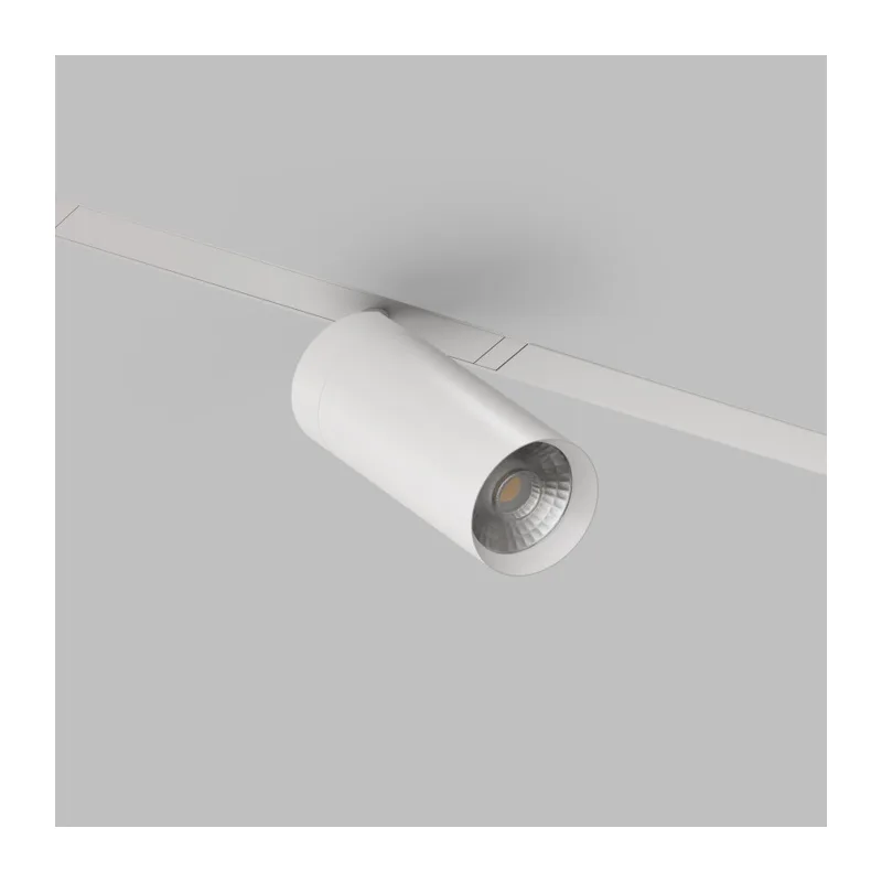 Светильник на шине Denkirs SMART SPOT | СМАРТ СПОТ DK8020-WH 5