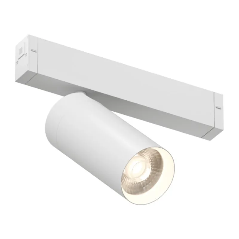 Светильник на шине Denkirs SMART SPOT | СМАРТ СПОТ DK8020-WH 7