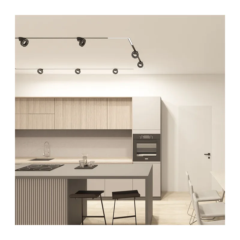 Светильник на шине Denkirs SMART GRILL | СМАРТ ГРИЛЬ DK8030-BK 2