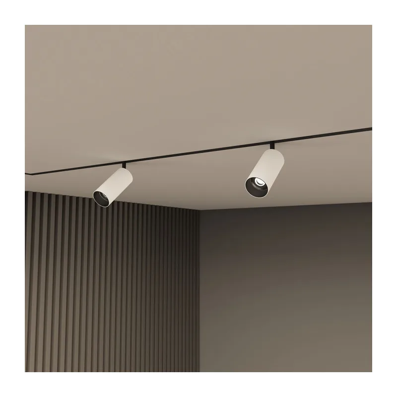 Светильник на шине Denkirs SMART SPOT | СМАРТ СПОТ DK8041-BW+BK 6