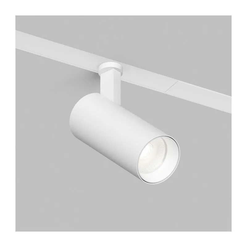 Светильник на шине Denkirs SIMPLE SPOT | СИМПЛ СПОТ DK8110-WH