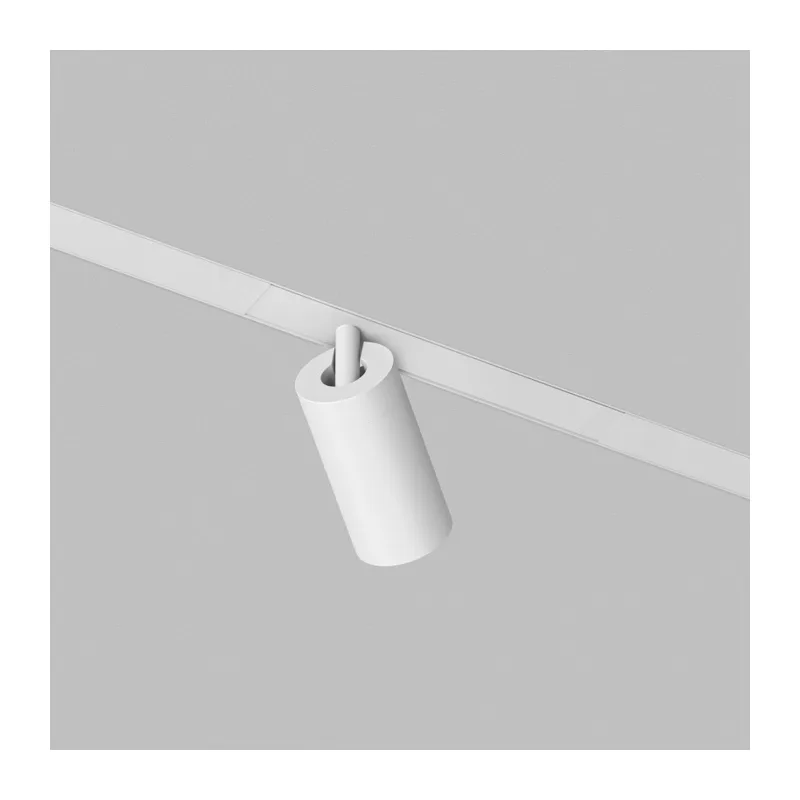 Светильник на шине Denkirs SIMPLE SPOT | СИМПЛ СПОТ DK8210-WH 3