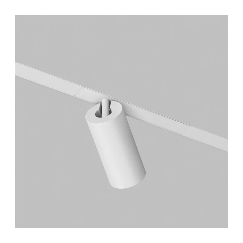 Светильник на шине Denkirs SIMPLE SPOT | СИМПЛ СПОТ DK8220-WH 3