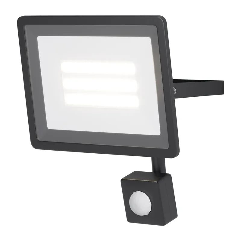 Прожектор Поток / Flood 6500К 30Вт IP 65 Maytoni FL001-L30B6KSR
